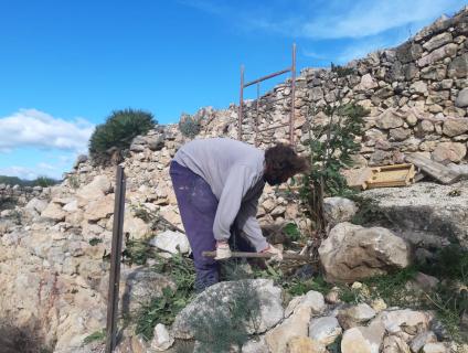 Tasques de deforestacio i neteja del jaciment